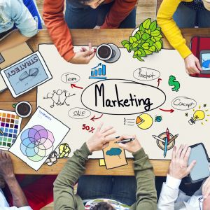 Strategy & Market Development